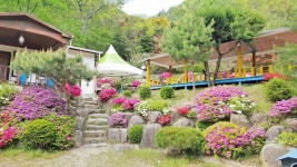 해산관광농원펜션