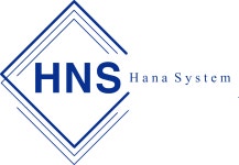 하나시스템