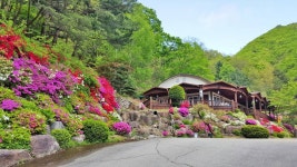 해산관광농원펜션