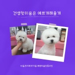 예쁘개해줄개