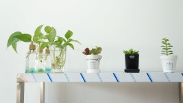 30년전통 천도국밥