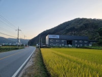 길바코비더루트코리아