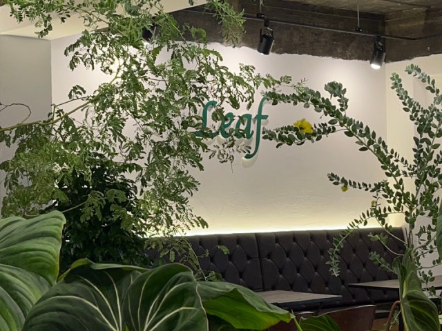 리프