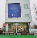 루트231 애견카페 애견유치원