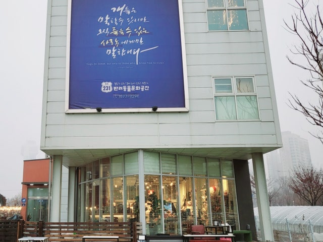 루트231 애견카페 애견유치원