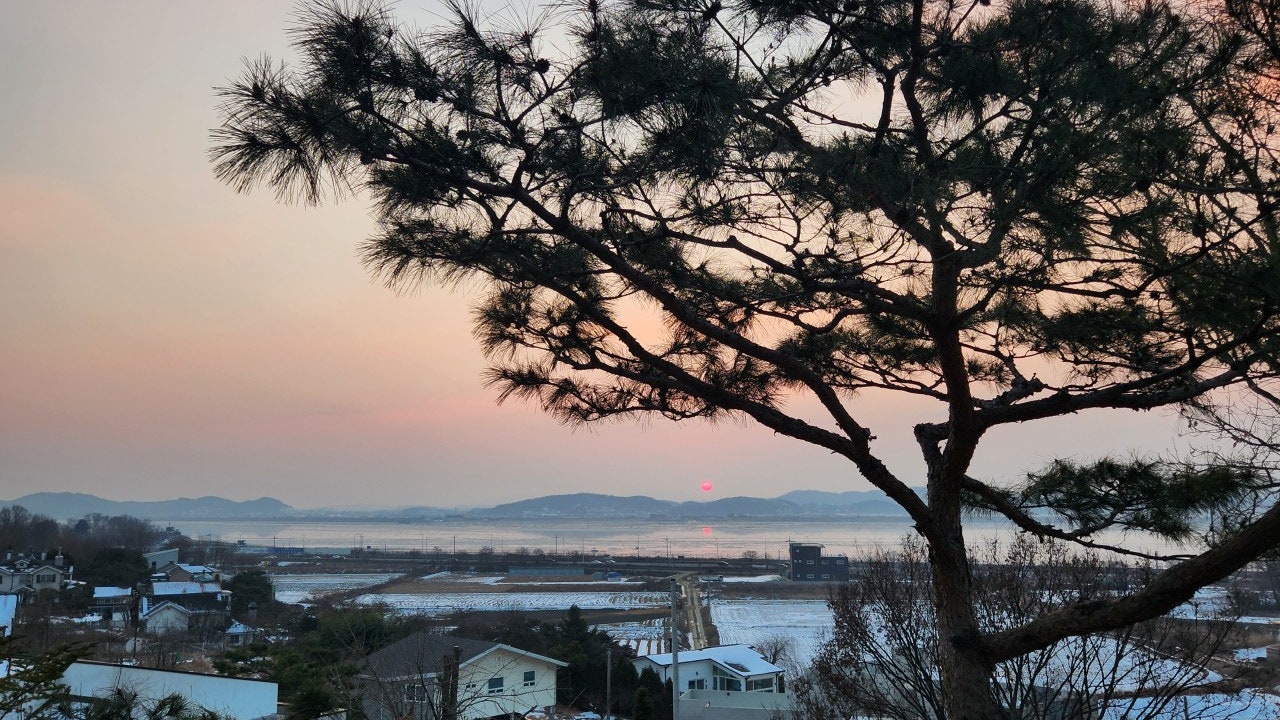 카페바움