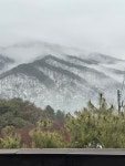 몽베르 리조트 펜션