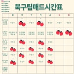 북구팀매드