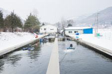 추원복송어장횟집
