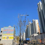 THE해온태권도 2관 동남관 JMC줄넘기