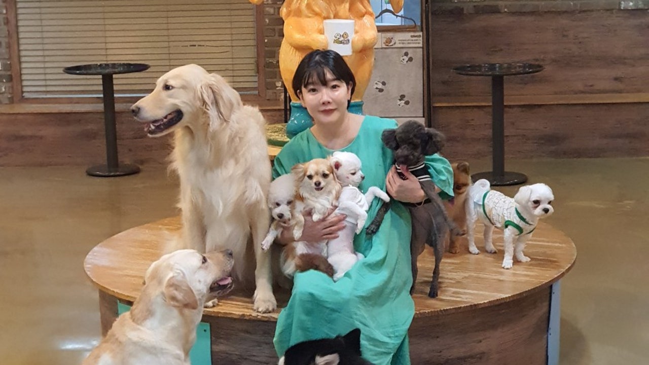 포포앤미루