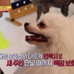 아이조아요양보호소 인천지점