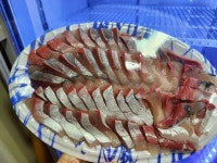 낭만물고기 실내바다낚시터