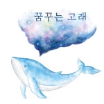 꿈꾸는고래