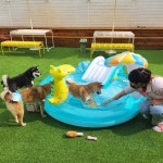 아이조아요양보호소 인천지점