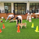 아이조아요양보호소 인천지점