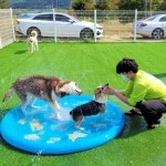아이조아요양보호소 인천지점