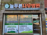 늘푸른나무병원