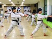 용인대금메달태권도