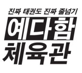 용인대예다함태권도