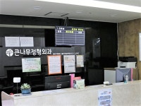 큰나무정형외과의원