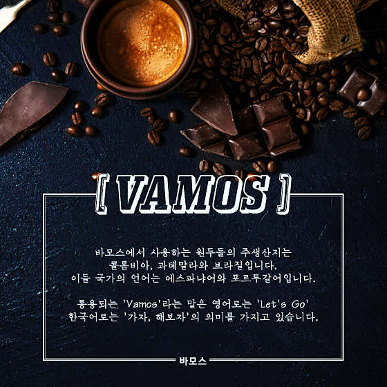 바모스 사진