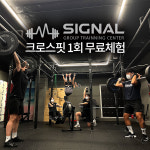 시그널크로스핏