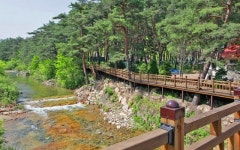 속리산자연펜션