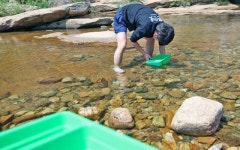 속리산자연펜션