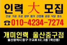 개미인력개발 울산중구점