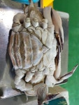 서래수산
