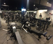 액트짐 헬스&PT 신논현역점