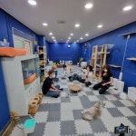 아이조아요양보호소 인천지점