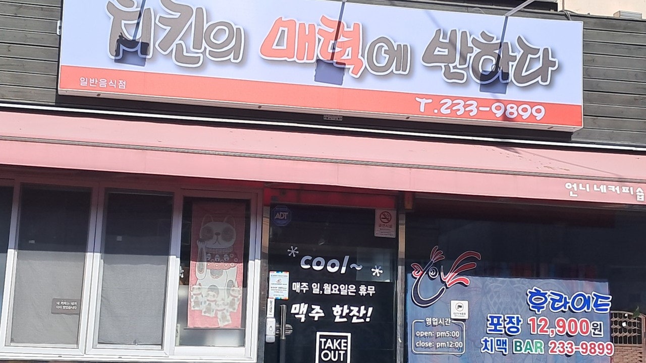 치킨의 매력에 반하다