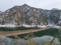 개인택시