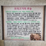 퇴골오리숯불구이 홍천본점