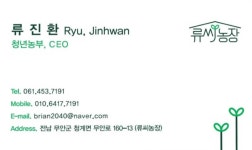 류씨농장 새싹인삼