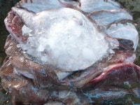 삼천포수산