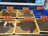 동해바다횟집