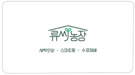 류씨농장 새싹인삼