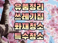 특수청소