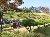 용인수목장 장례서비스