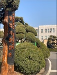 라디아