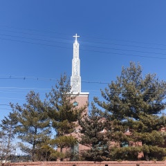오송영락교회