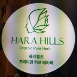 하라힐즈 센트럴점