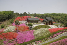 전주최씨 결성공파종중