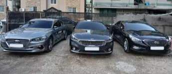 국화렌트카