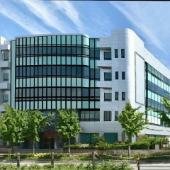 소망교회