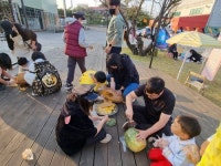 왕매실마을