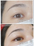 캣츠아이브로우